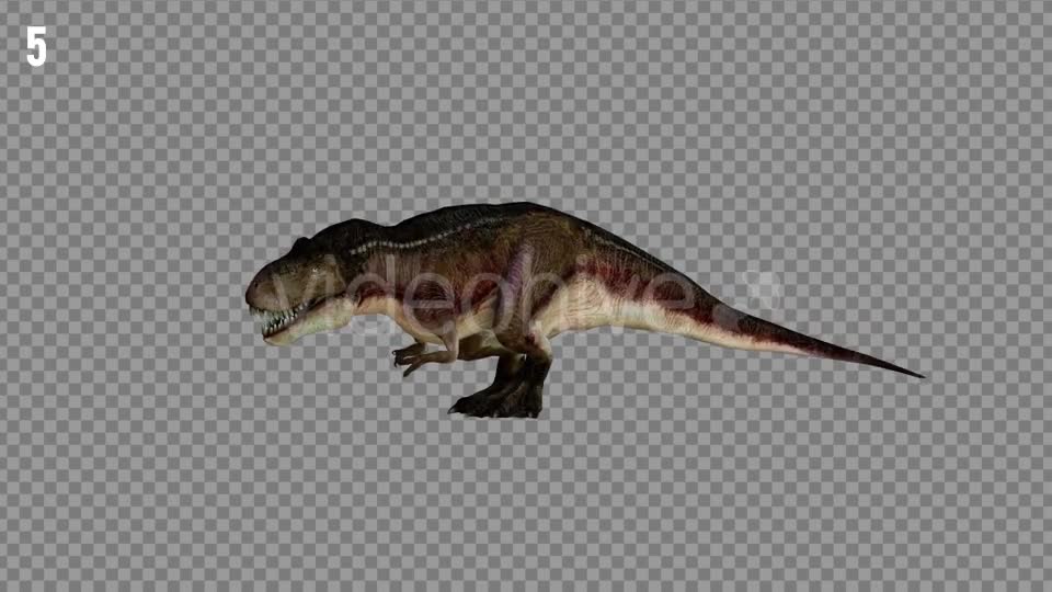 T REX 2 Realistic Pack 5 Videohive 21265310 Motion Graphics Image 9