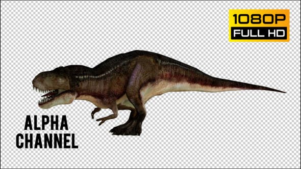 T REX 2 Realistic Pack 5 - 21265310 Videohive Download