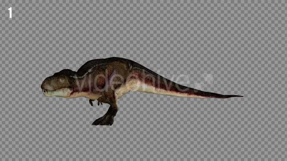 T REX 4 Realistic Pack 5 Videohive 21270953 Motion Graphics Image 1