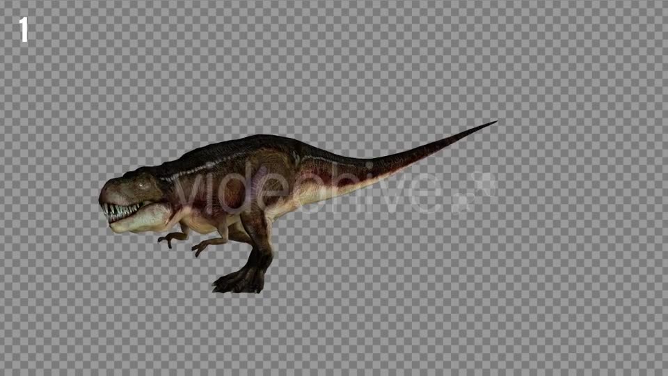 T REX 4 Realistic Pack 5 Videohive 21270953 Motion Graphics Image 2