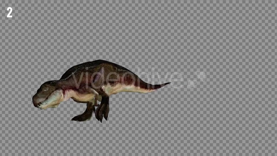 T REX 4 Realistic Pack 5 Videohive 21270953 Motion Graphics Image 3