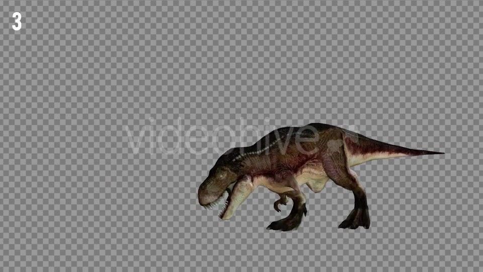 T REX 4 Realistic Pack 5 Videohive 21270953 Motion Graphics Image 4