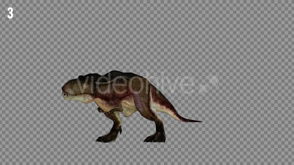 T REX 4 Realistic Pack 5 Videohive 21270953 Motion Graphics Image 5