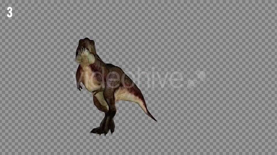 T REX 4 Realistic Pack 5 Videohive 21270953 Motion Graphics Image 6