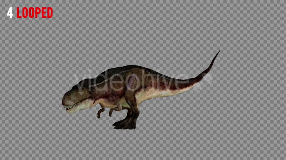 T REX 4 Realistic Pack 5 Videohive 21270953 Motion Graphics Image 7