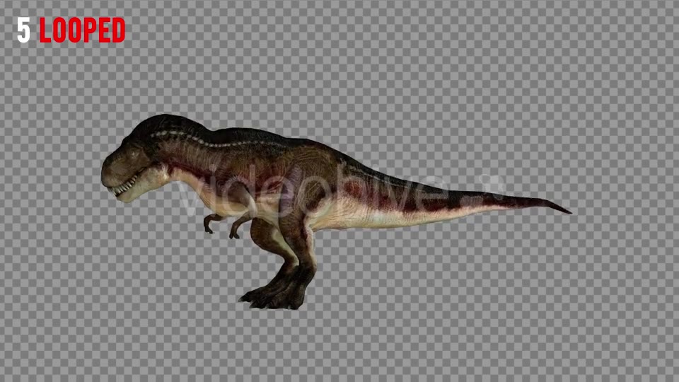T REX 4 Realistic Pack 5 Videohive 21270953 Motion Graphics Image 8
