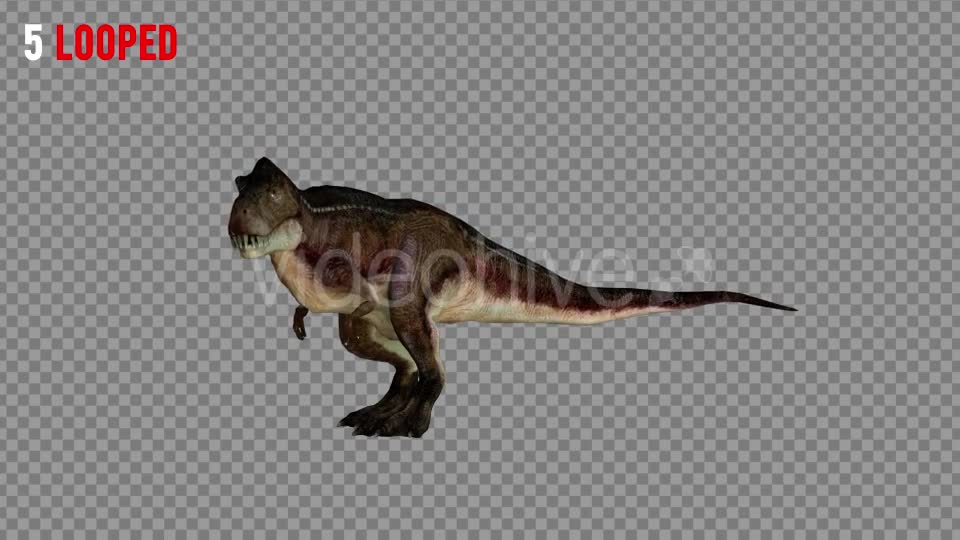 T REX 4 Realistic Pack 5 Videohive 21270953 Motion Graphics Image 9