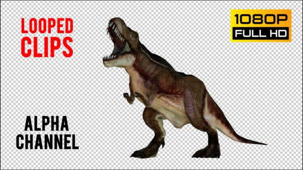 T REX 4 Realistic Pack 5 - Videohive Download 21270953