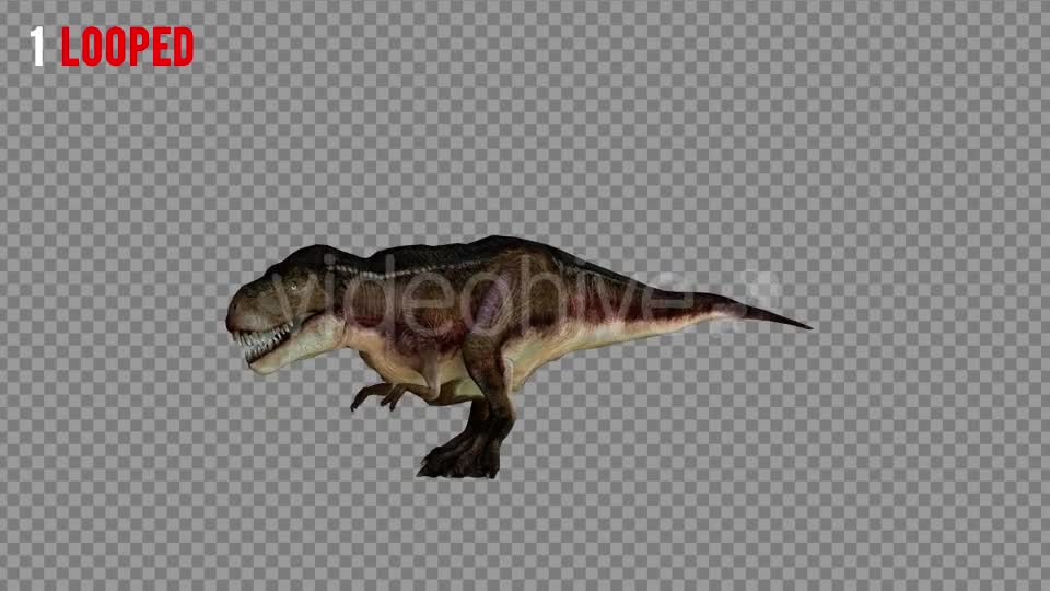 T REX 5 Realistic Pack 5 Videohive 21271180 Motion Graphics Image 1