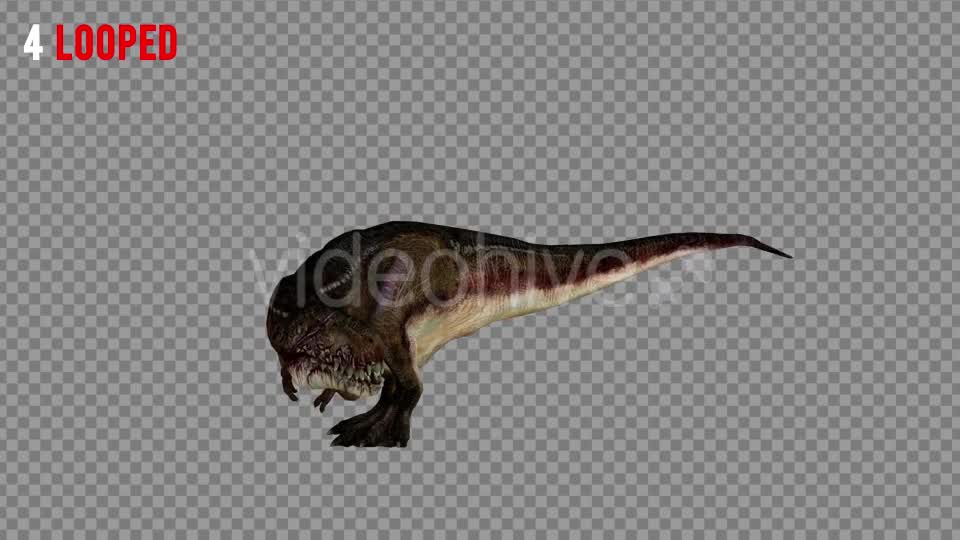 T REX 5 Realistic Pack 5 Videohive 21271180 Motion Graphics Image 10
