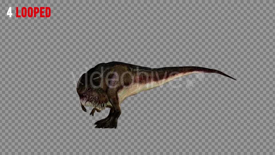 T REX 5 Realistic Pack 5 Videohive 21271180 Motion Graphics Image 11