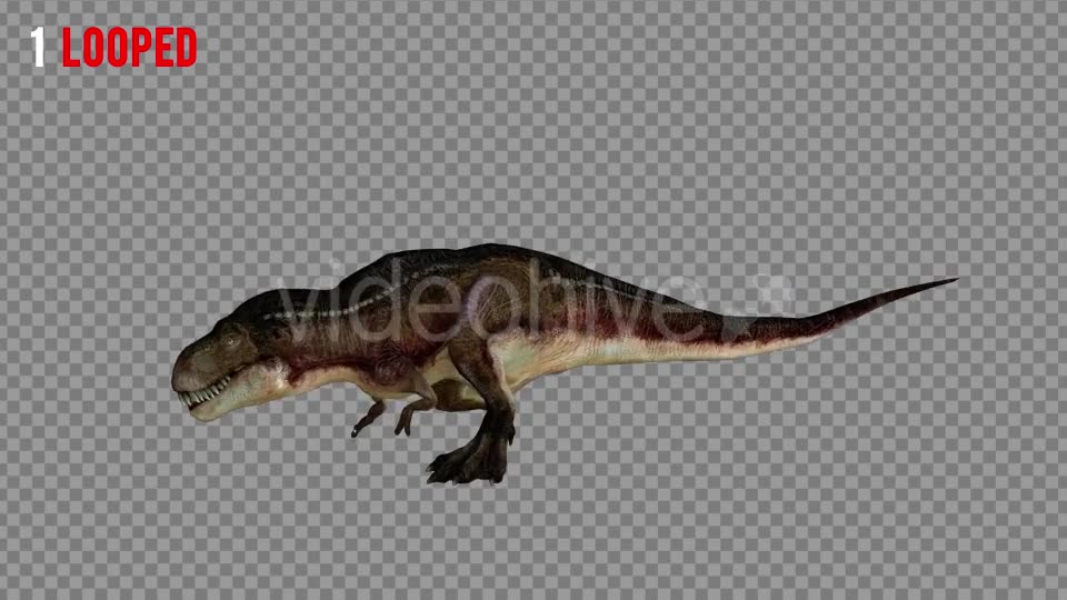 T REX 5 Realistic Pack 5 Videohive 21271180 Motion Graphics Image 2