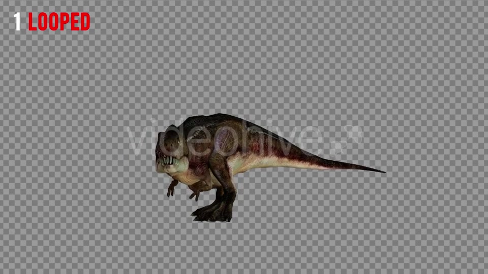 T REX 5 Realistic Pack 5 Videohive 21271180 Motion Graphics Image 4