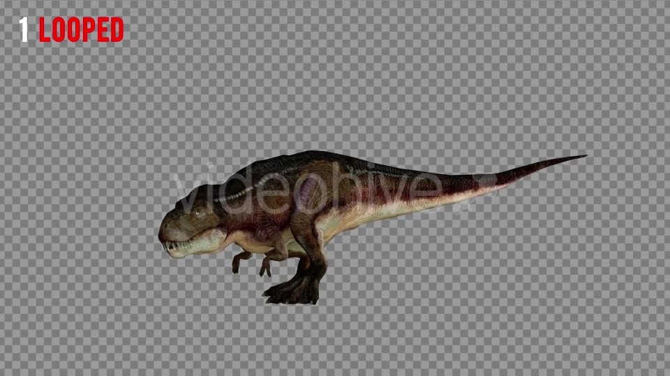 T REX 5 Realistic Pack 5 Videohive 21271180 Motion Graphics Image 5