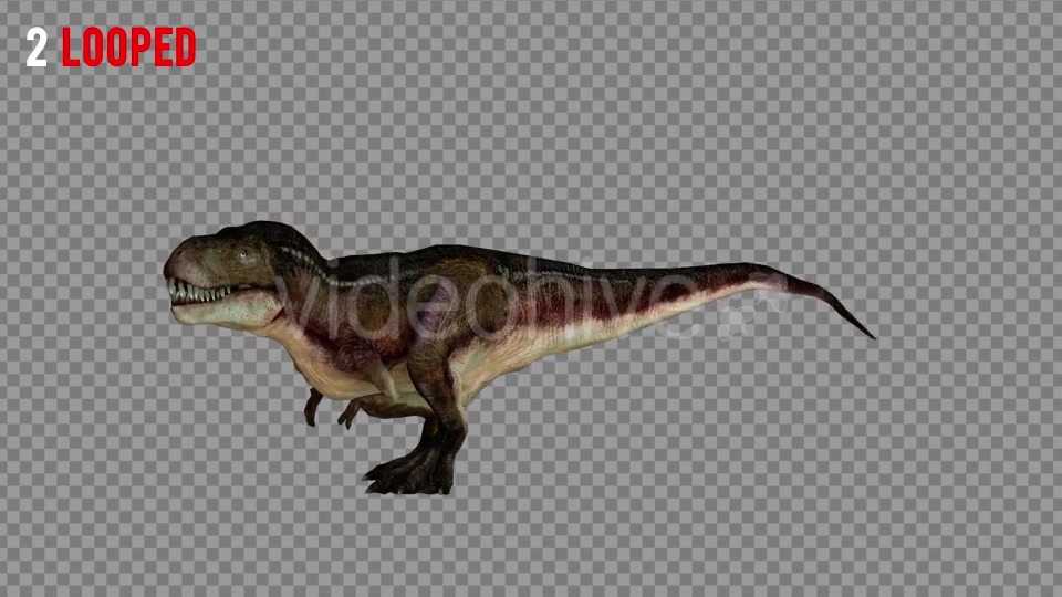 T REX 5 Realistic Pack 5 Videohive 21271180 Motion Graphics Image 6