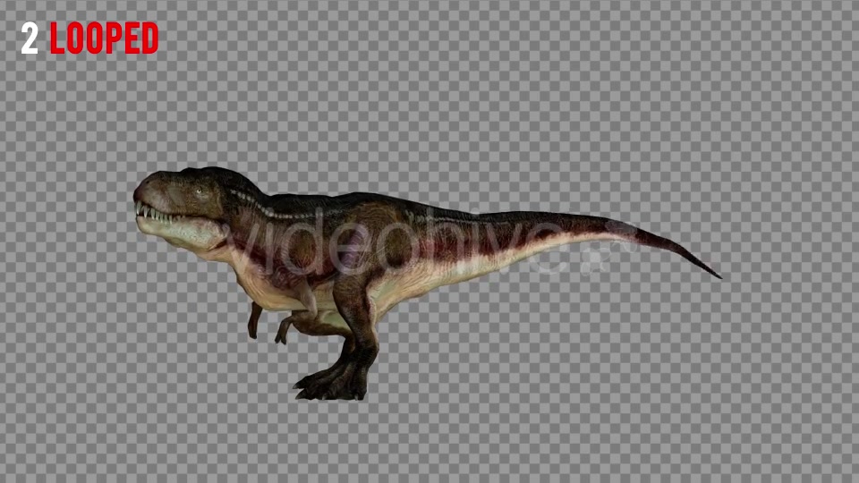 T REX 5 Realistic Pack 5 Videohive 21271180 Motion Graphics Image 7