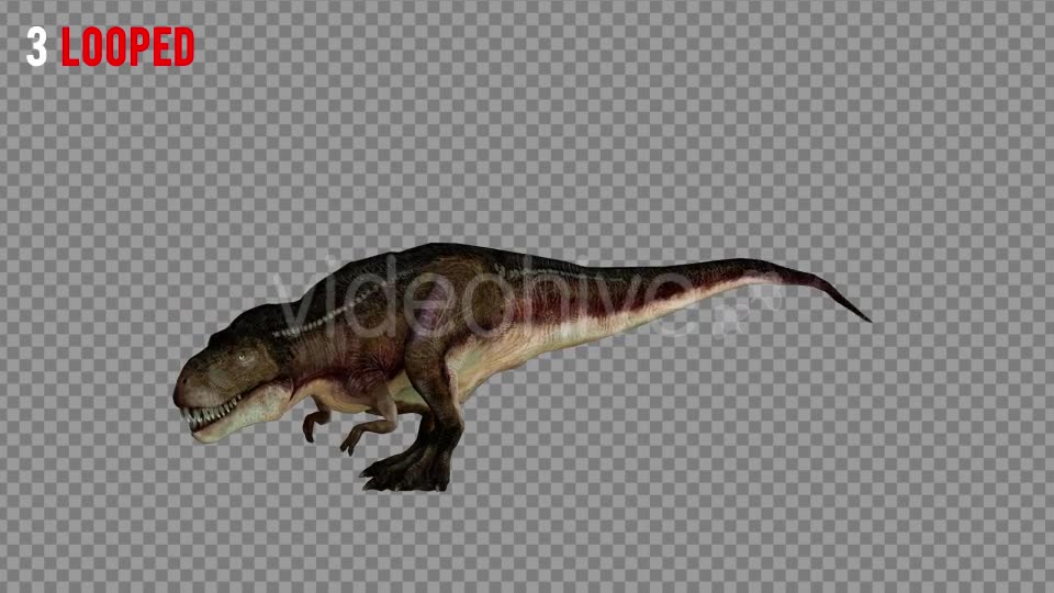T REX 5 Realistic Pack 5 Videohive 21271180 Motion Graphics Image 8