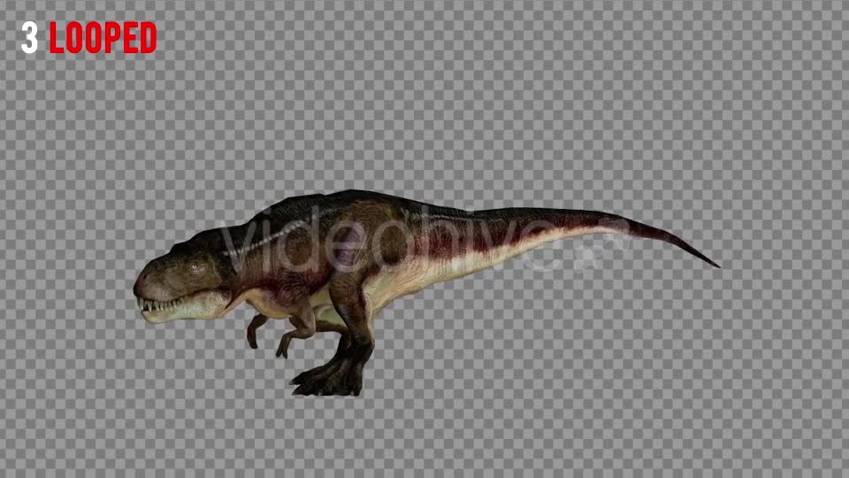 T REX 5 Realistic Pack 5 Videohive 21271180 Motion Graphics Image 9