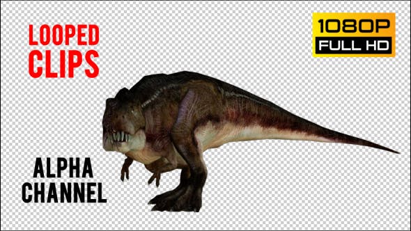 T REX 5 Realistic Pack 5 - Download 21271180 Videohive