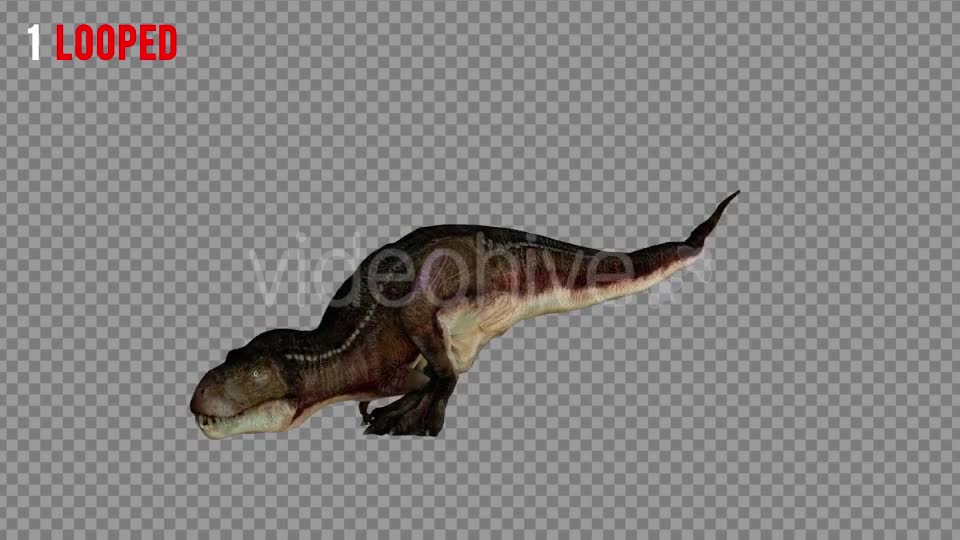 T REX 6 Realistic Pack 5 Videohive 21271326 Motion Graphics Image 1