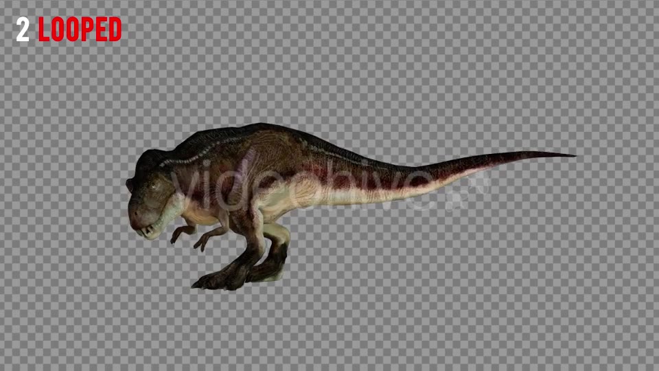 T REX 6 Realistic Pack 5 Videohive 21271326 Motion Graphics Image 2