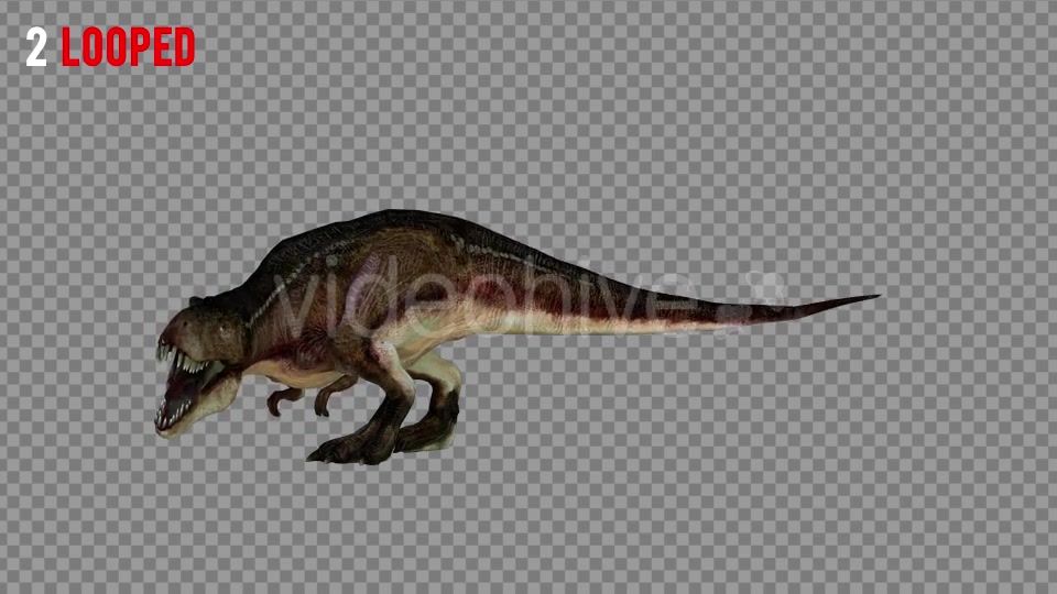 T REX 6 Realistic Pack 5 Videohive 21271326 Motion Graphics Image 3