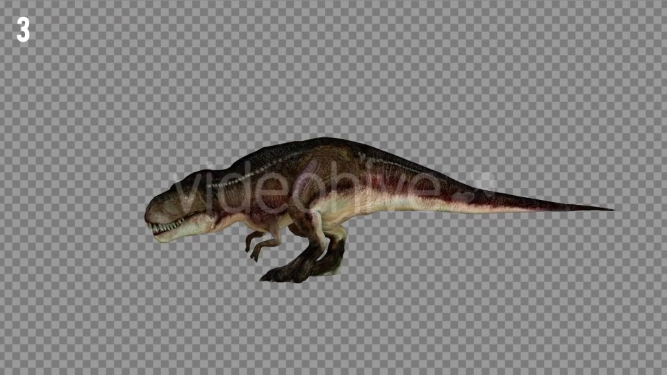 T REX 6 Realistic Pack 5 Videohive 21271326 Motion Graphics Image 4