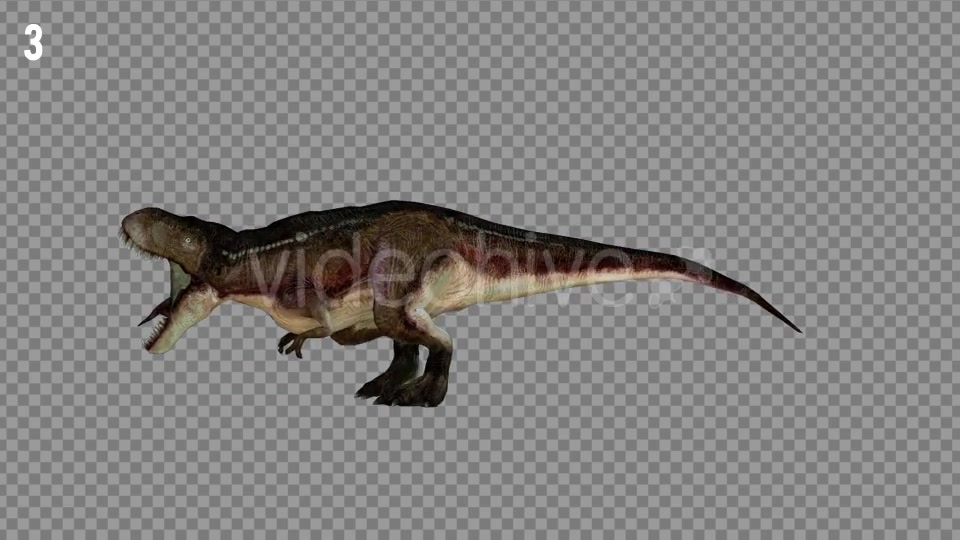 T REX 6 Realistic Pack 5 Videohive 21271326 Motion Graphics Image 5