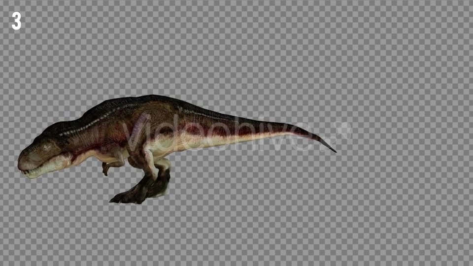 T REX 6 Realistic Pack 5 Videohive 21271326 Motion Graphics Image 6