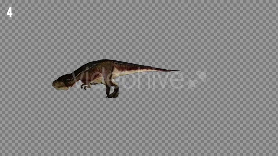 T REX 6 Realistic Pack 5 Videohive 21271326 Motion Graphics Image 7