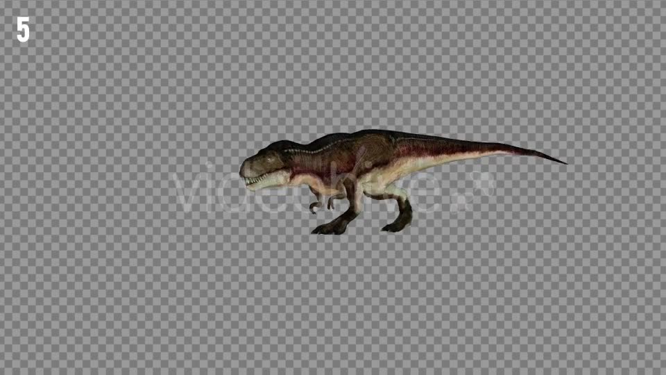 T REX 6 Realistic Pack 5 Videohive 21271326 Motion Graphics Image 8