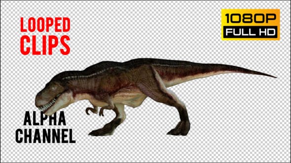 T REX 6 Realistic Pack 5 - Videohive 21271326 Download