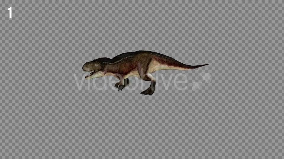 T REX 7 Realistic Pack 6 Videohive 21271413 Motion Graphics Image 1