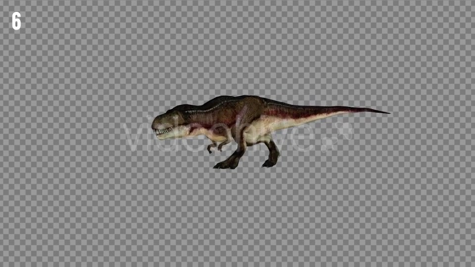T REX 7 Realistic Pack 6 Videohive 21271413 Motion Graphics Image 10