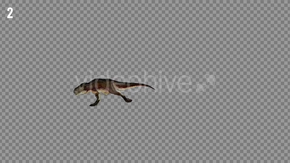 T REX 7 Realistic Pack 6 Videohive 21271413 Motion Graphics Image 2