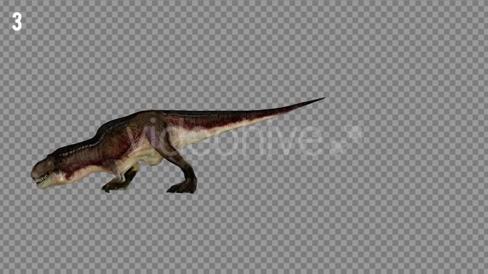 T REX 7 Realistic Pack 6 Videohive 21271413 Motion Graphics Image 3