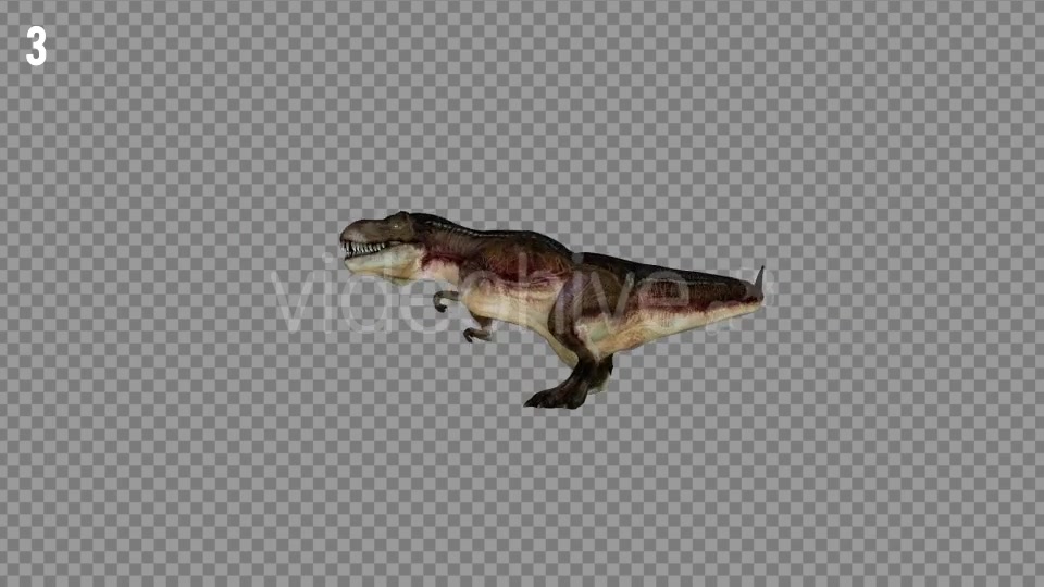 T REX 7 Realistic Pack 6 Videohive 21271413 Motion Graphics Image 4