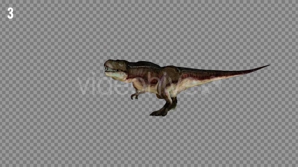 T REX 7 Realistic Pack 6 Videohive 21271413 Motion Graphics Image 5