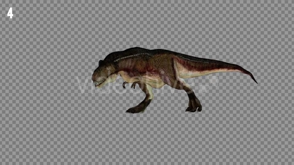 T REX 7 Realistic Pack 6 Videohive 21271413 Motion Graphics Image 6