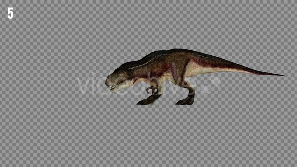 T REX 7 Realistic Pack 6 Videohive 21271413 Motion Graphics Image 7