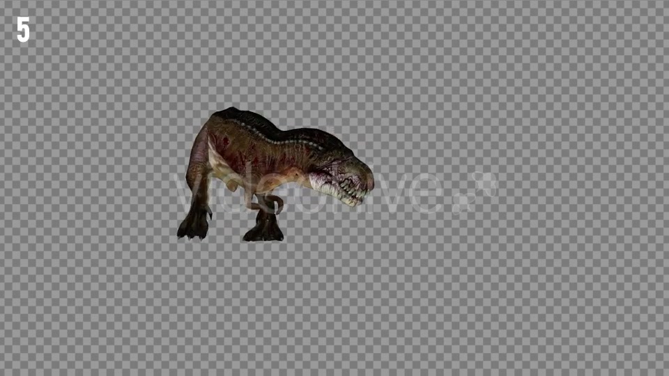 T REX 7 Realistic Pack 6 Videohive 21271413 Motion Graphics Image 8