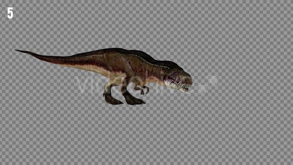 T REX 7 Realistic Pack 6 Videohive 21271413 Motion Graphics Image 9