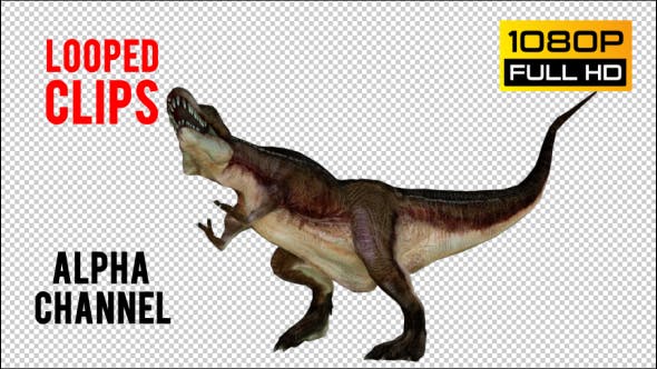 T REX 7 Realistic Pack 6 - Videohive 21271413 Download
