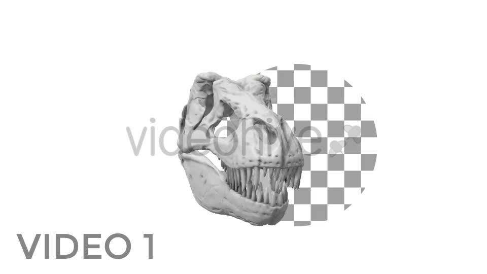 T Rex Skull Rotation Videohive 18859730 Motion Graphics Image 1