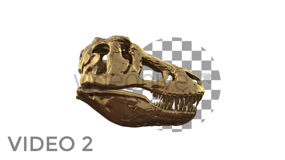 T Rex Skull Rotation Videohive 18859730 Motion Graphics Image 3