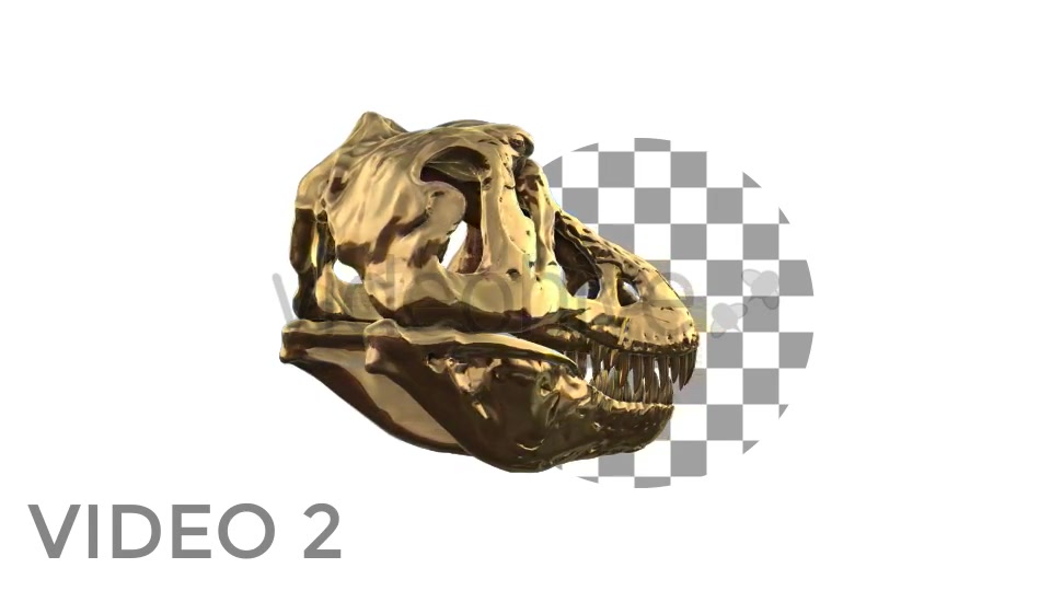 T Rex Skull Rotation Videohive 18859730 Motion Graphics Image 4