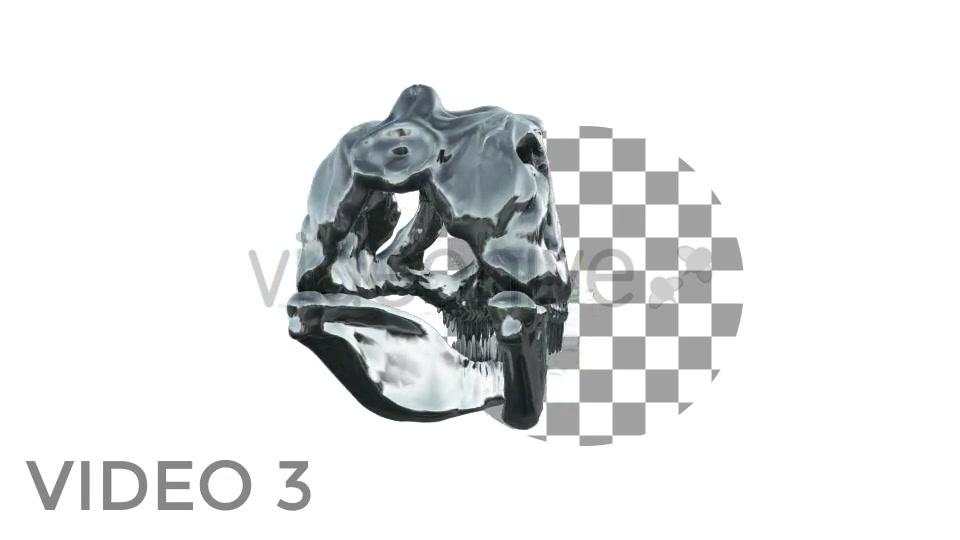 T Rex Skull Rotation Videohive 18859730 Motion Graphics Image 5