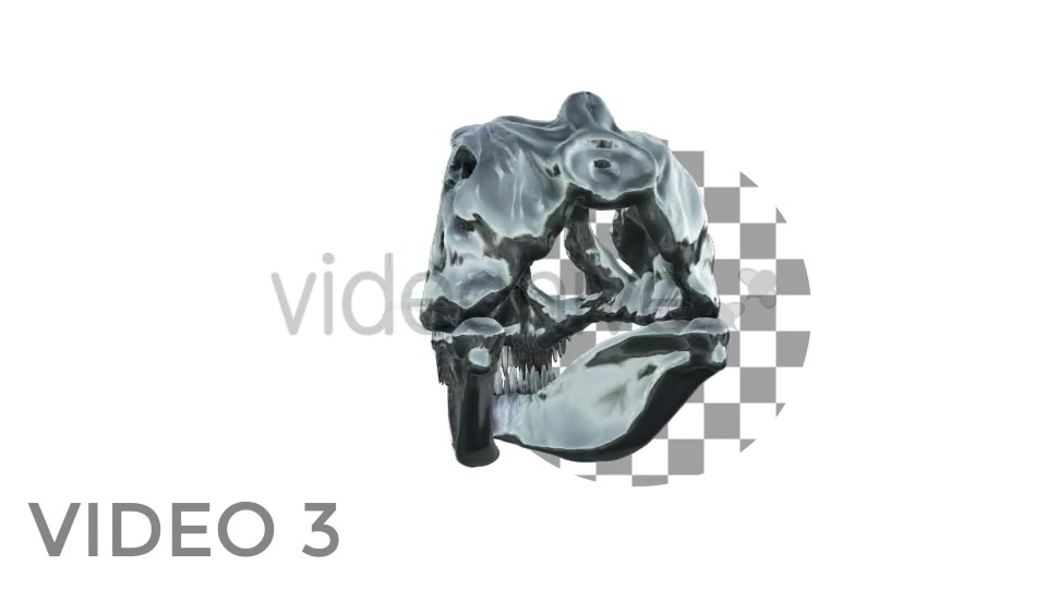 T Rex Skull Rotation Videohive 18859730 Motion Graphics Image 6