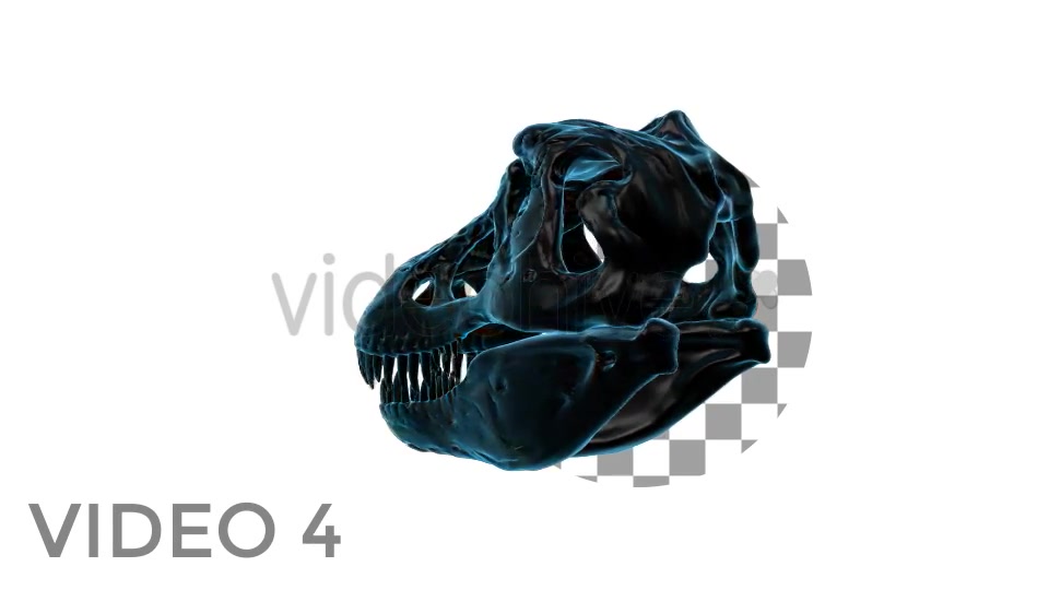 T Rex Skull Rotation Videohive 18859730 Motion Graphics Image 7