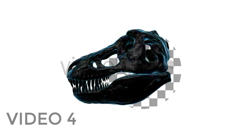 T Rex Skull Rotation Videohive 18859730 Motion Graphics Image 8